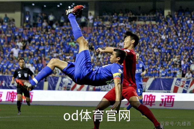od体育官网公司介绍
